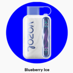 Vozol Star 40000 Blueberry Ice